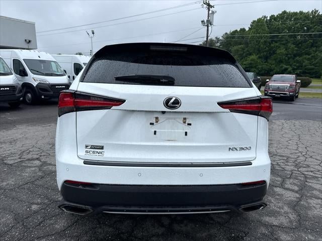 2021 Lexus NX 300 F SPORT